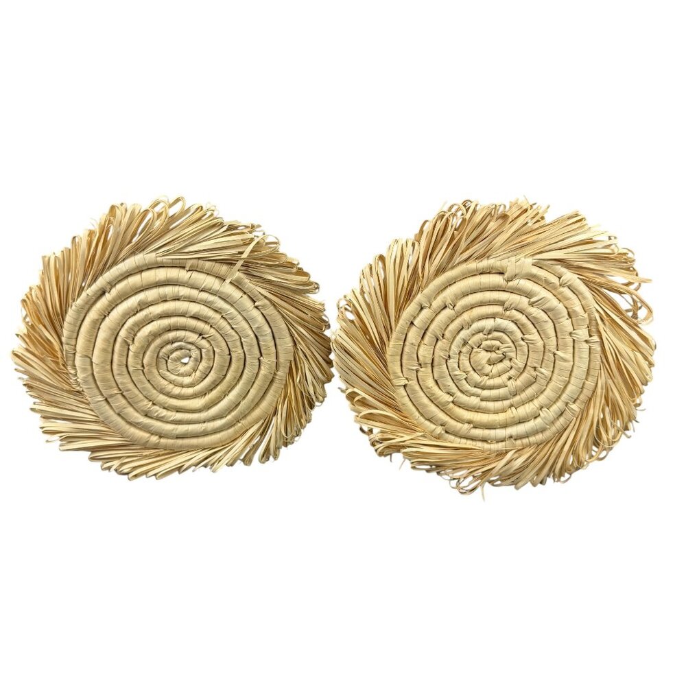 Set of 2 Boho Woven Raffia Wall Art Hangings Natural Fiber Fringe Straw Decor